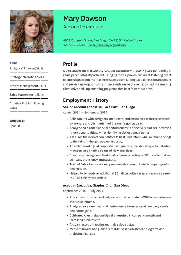 Account Executive resume example