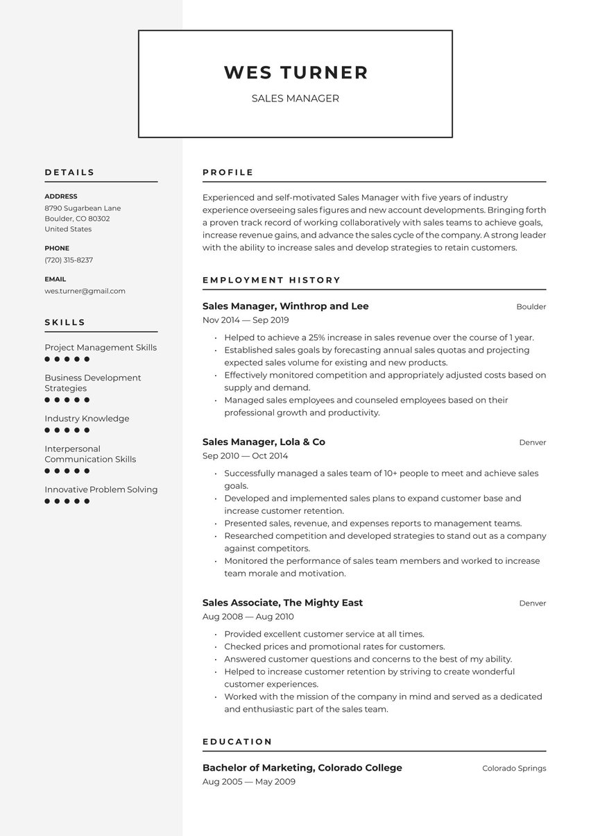 Amsterdam resume template