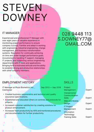 Google docs CV template Colour Splash
