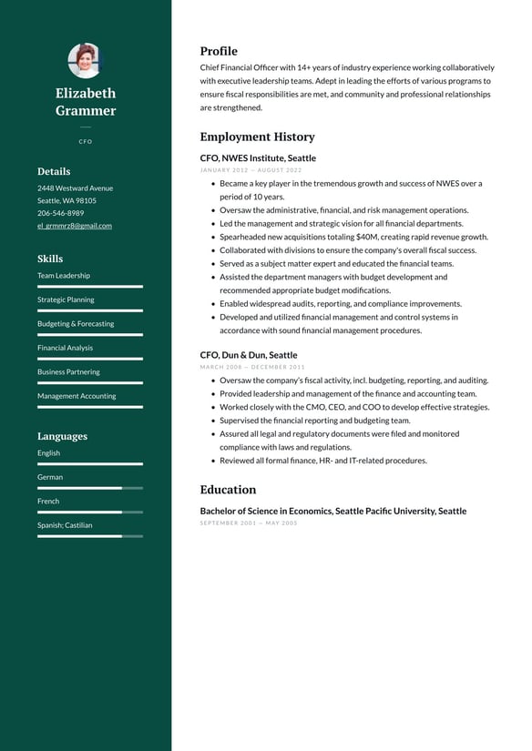 CFO resume example