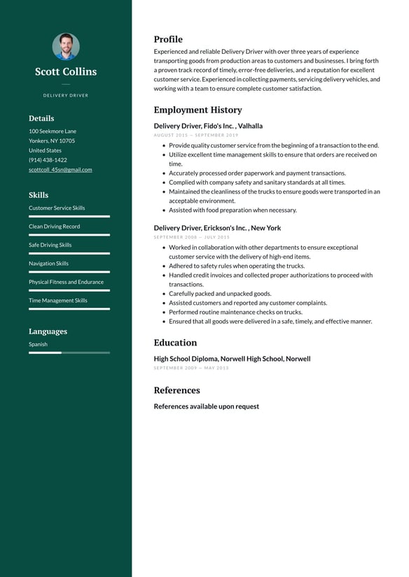 Delivery Driver resume example