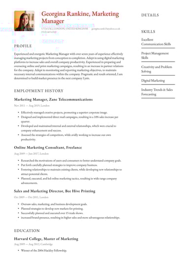 Google docs CV template Polished