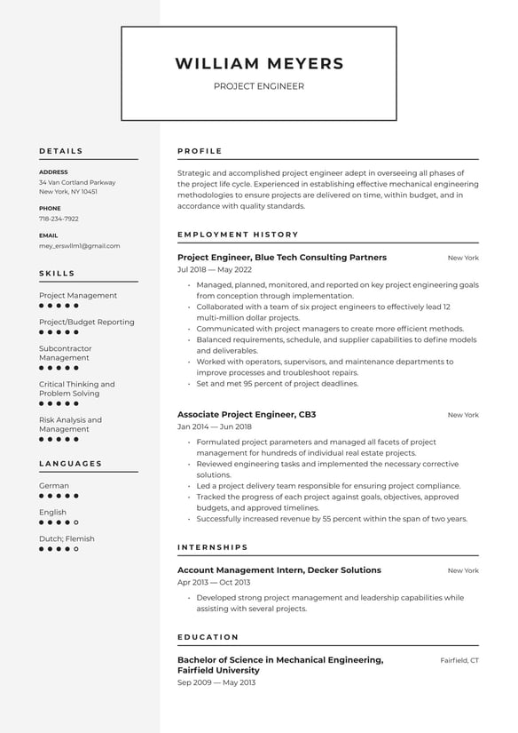 Project Engineer resume example