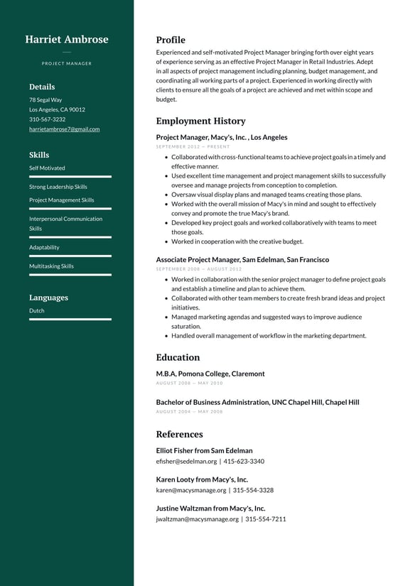 Project Manager resume example