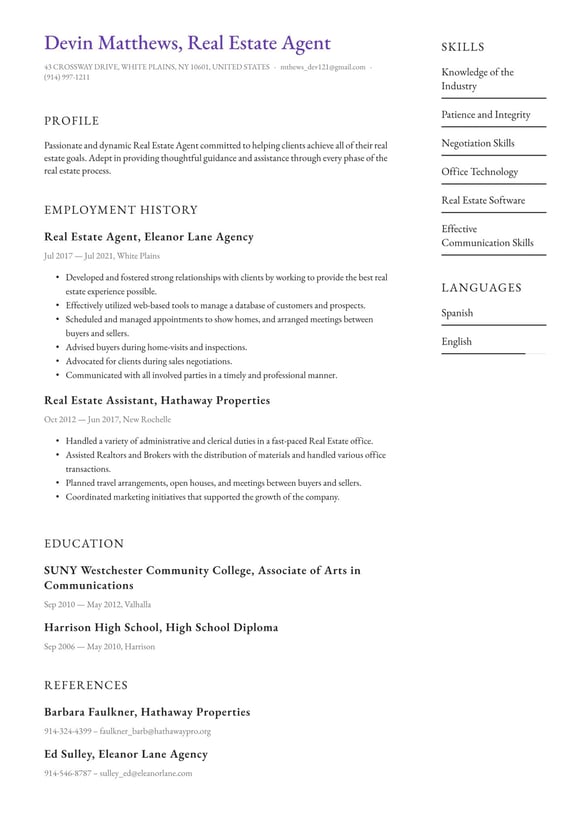 Real Estate Agent resume example