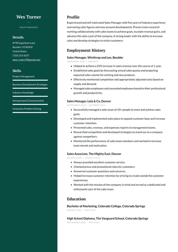 Sales Manager resume example