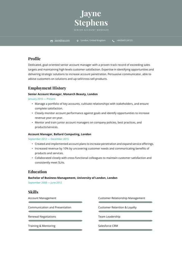 Senior Account Manager resume example