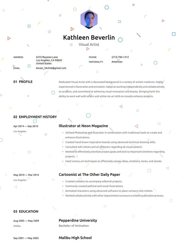 Visual Artist resume example